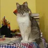 Отзыв от Таисия Добрынина